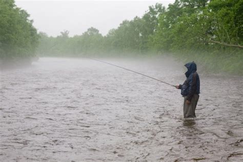 連續陰雨天氣怎麼釣魚